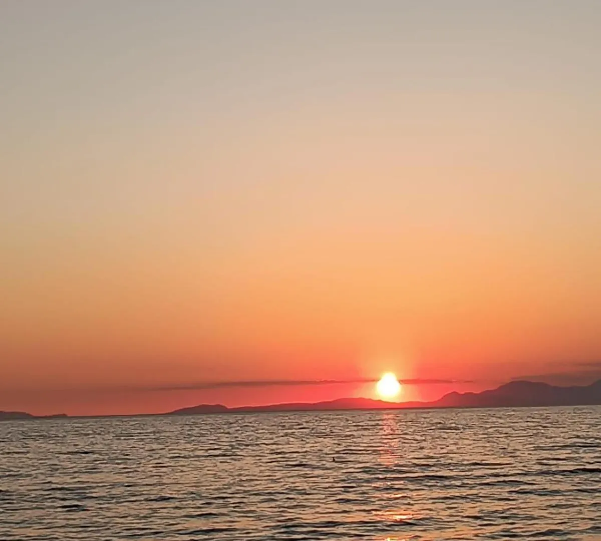 B&B Il Nido Cattolica